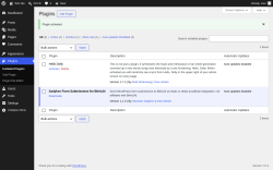 Page screenshot: Plugins &lsaquo; Test site &mdash; WordPress
