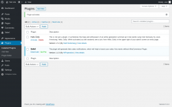 Page screenshot: Plugins ‹ Test site — WordPress