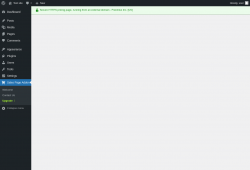 Page screenshot: Sales Page Addon → Upgrade  ➤