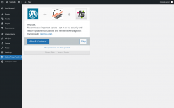 Page screenshot: Sales Page Addon ‹ Test site — WordPress