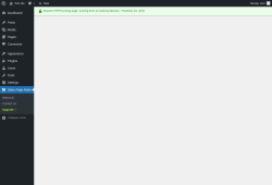 Page screenshot: Sales Page Addon → Upgrade  ➤