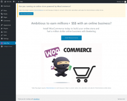 Page screenshot: Sales Pop Menu Page &lsaquo; Test site &mdash; WordPress