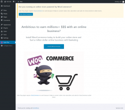 Page screenshot: Sales Pop