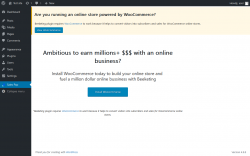 Page screenshot: Beeketing Menu Page &lsaquo; Test site &mdash; WordPress