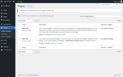 Page screenshot: Plugins &lsaquo; Test site &mdash; WordPress