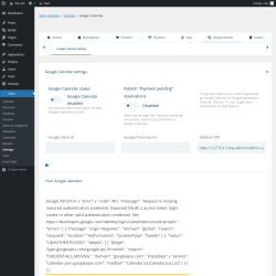 Page screenshot: Salon → Settings → Google Calendar