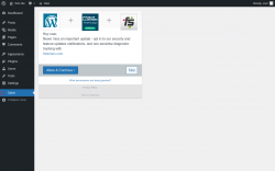Page screenshot: Salon ‹ Test site — WordPress