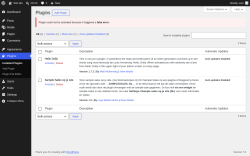 Page screenshot: Plugins &lsaquo; Test site &mdash; WordPress