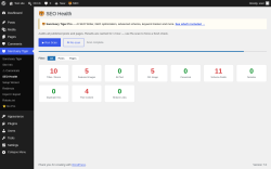 Page screenshot: Sanctuary Tiger &rarr; SEO Health