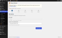Page screenshot: Sanctuary Tiger &rarr; Setup Wizard