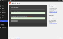 Page screenshot: Sarbacane &rarr; Connection