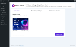 Page screenshot: Wizard &lsaquo; Test site &mdash; WordPress