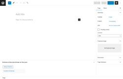 Page screenshot: Add New Page &lsaquo; Test site &mdash; WordPress