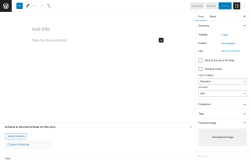 Page screenshot: Add New Post &lsaquo; Test site &mdash; WordPress