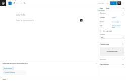 Page screenshot: Add New Page &lsaquo; Test site &mdash; WordPress