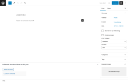 Page screenshot: Add New Post &lsaquo; Test site &mdash; WordPress