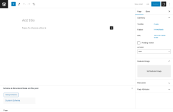 Page screenshot: Add New Page &lsaquo; Test site &mdash; WordPress