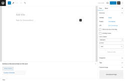 Page screenshot: Add New Post &lsaquo; Test site &mdash; WordPress