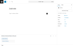 Page screenshot: Add Page ‹ Test site — WordPress