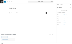 Page screenshot: Add Page &lsaquo; Test site &mdash; WordPress