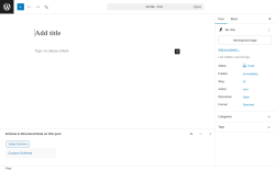 Page screenshot: Add Post &lsaquo; Test site &mdash; WordPress