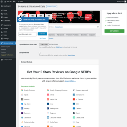 Page screenshot: Structured Data &rarr; Settings &rarr;  Review