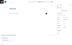 Page screenshot: Add Post &lsaquo; Test site &mdash; WordPress