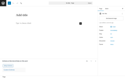 Page screenshot: Add Page &lsaquo; Test site &mdash; WordPress