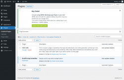 Page screenshot: Plugins &lsaquo; Test site &mdash; WordPress
