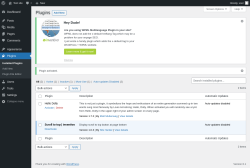 Page screenshot: Plugins &lsaquo; Test site &mdash; WordPress