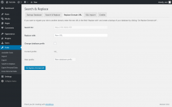 Page screenshot: Tools → Search & Replace → Replace Domain URL