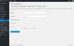 Page screenshot: Tools → Search & Replace → Replace Domain URL