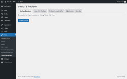 Page screenshot: Tools → Search & Replace