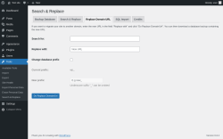Page screenshot: Tools → Search & Replace → Replace Domain URL