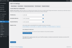 Page screenshot: Settings &rarr; SEO 44 &rarr; Migration Settings