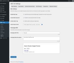 Page screenshot: Settings &rarr; SEO 44