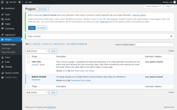 Page screenshot: Plugins ‹ Test site — WordPress