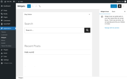 Page screenshot: Widgets &lsaquo; Test site &mdash; WordPress