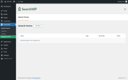 Page screenshot: SearchWP