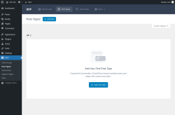 Page screenshot: SCF → Post Types