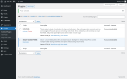 Page screenshot: Plugins &lsaquo; Test site &mdash; WordPress