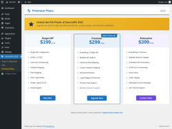 Page screenshot: SecurePie SSO &rarr; Premium Plans