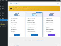 Page screenshot: SecurePie SSO &rarr; Premium Plans
