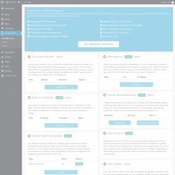 Page screenshot: Security S.A.F.