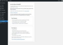 Page screenshot: SN4MWP
