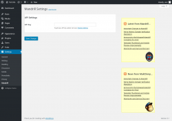 Page screenshot: Settings  → Mandrill