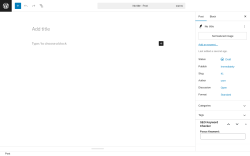 Page screenshot: Add Post ‹ Test site — WordPress