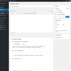 Page screenshot: Add New Page &lsaquo; Test site &mdash; WordPress