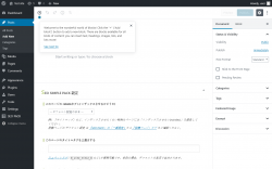 Page screenshot: Add New Post &lsaquo; Test site &mdash; WordPress