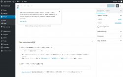 Page screenshot: Add New Page &lsaquo; Test site &mdash; WordPress